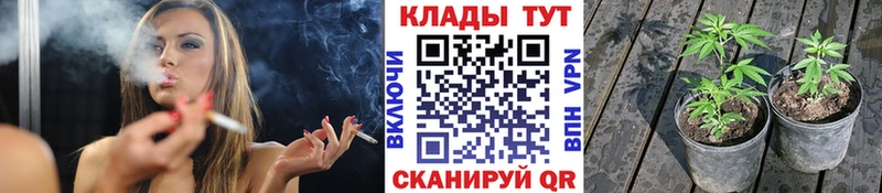 Конопля Камбарка