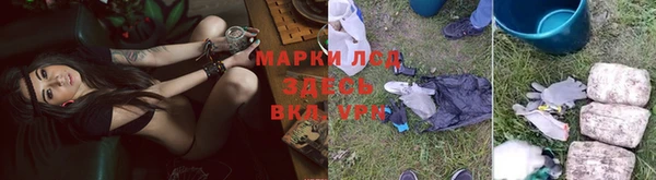 скорость Алзамай