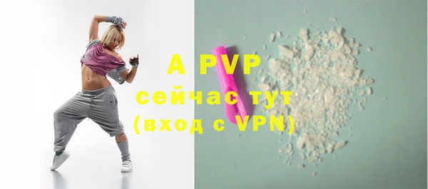 мдпв Рославль
