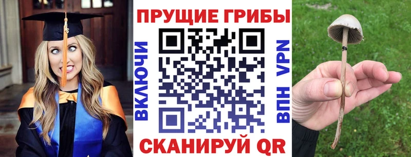 Галлюциногенные грибы GOLDEN TEACHER  наркотики  Камбарка 